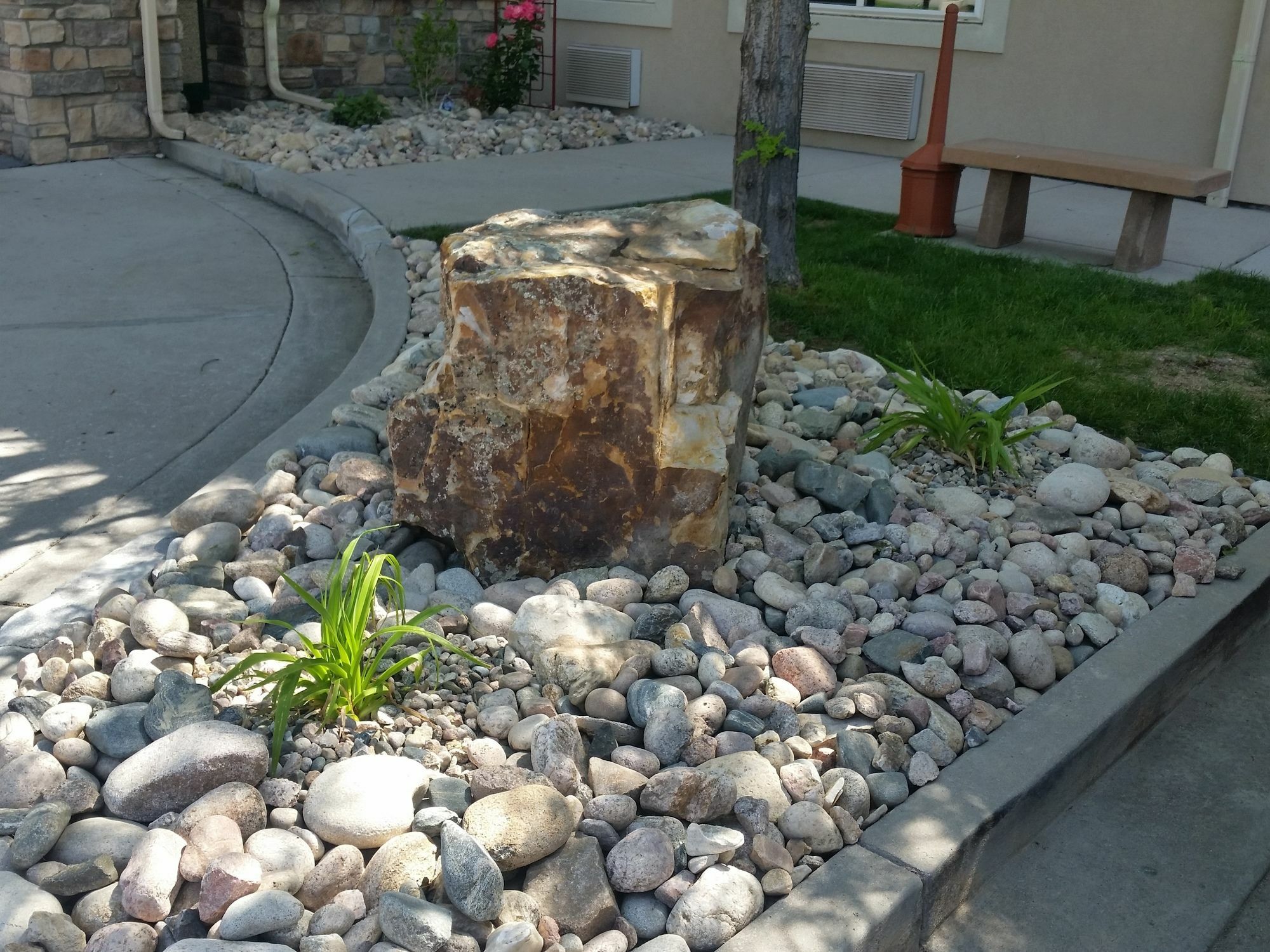 Comfort Inn Fort Collins North Eksteriør bilde